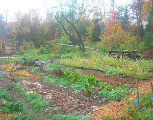 Down a Dirt Road Image